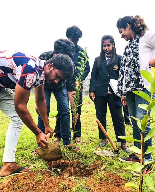 Rotaractors plant saplings on a school campus.