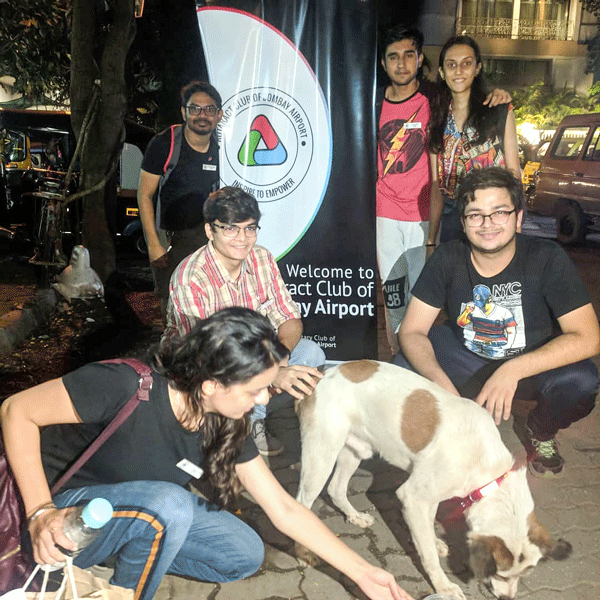 Rotaractors at the Scooby Dooby Project that fits reflective collars on street dogs.