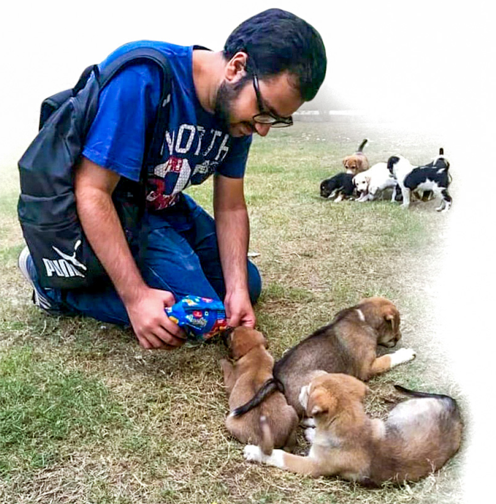 Left & below: Rotaractors feeding stray dogs and pups.