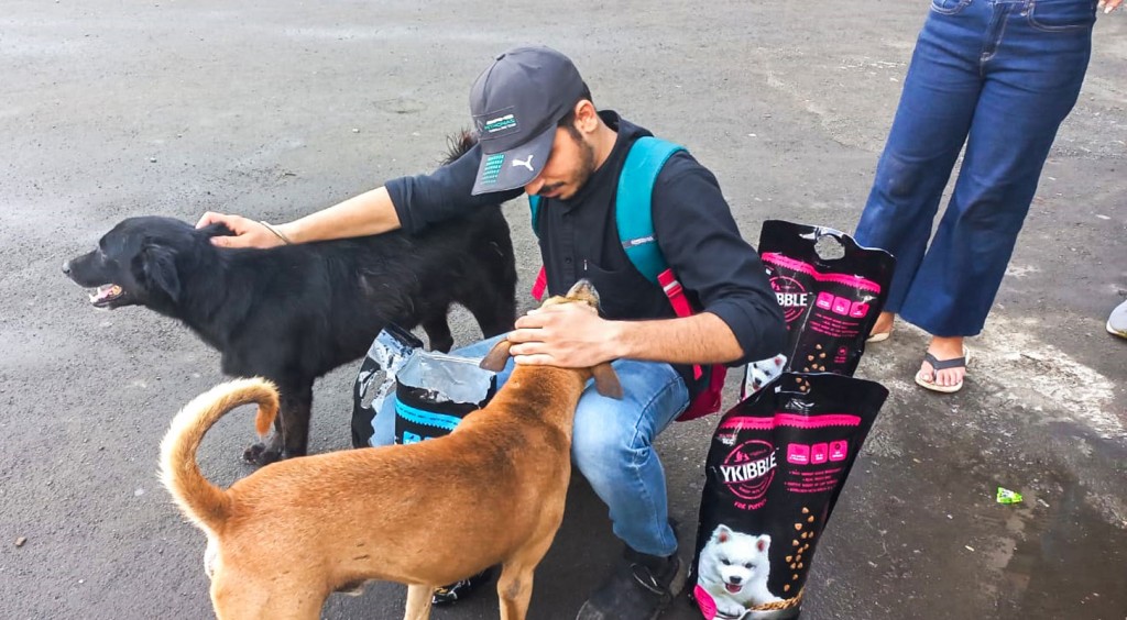 A Rotaractor feeds stray dogs.