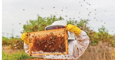 Bees know no borders, neither do Interactors Bees know no borders, neither do Interactors